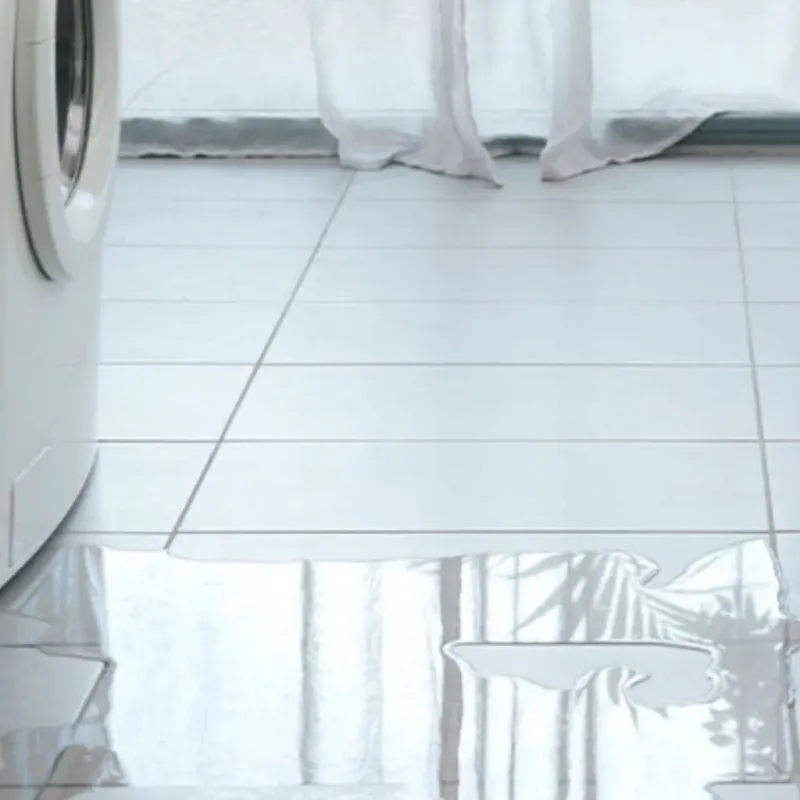 Appliance Leak Cleanup in Salisbury, MA