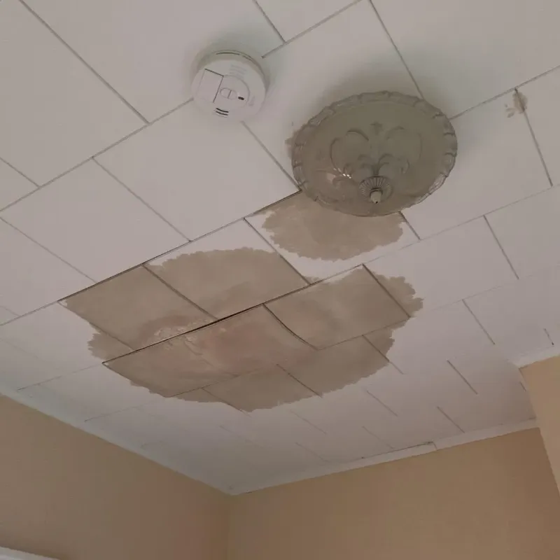 Ceiling Water Damage Repair in Salisbury, MA