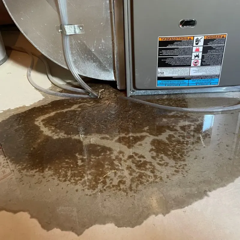 Pipe Burst and Leak Restoration in Salisbury, MA